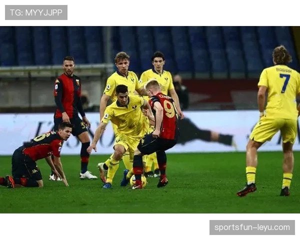 维罗纳状态回暖，能否借势突破保级壁垒？